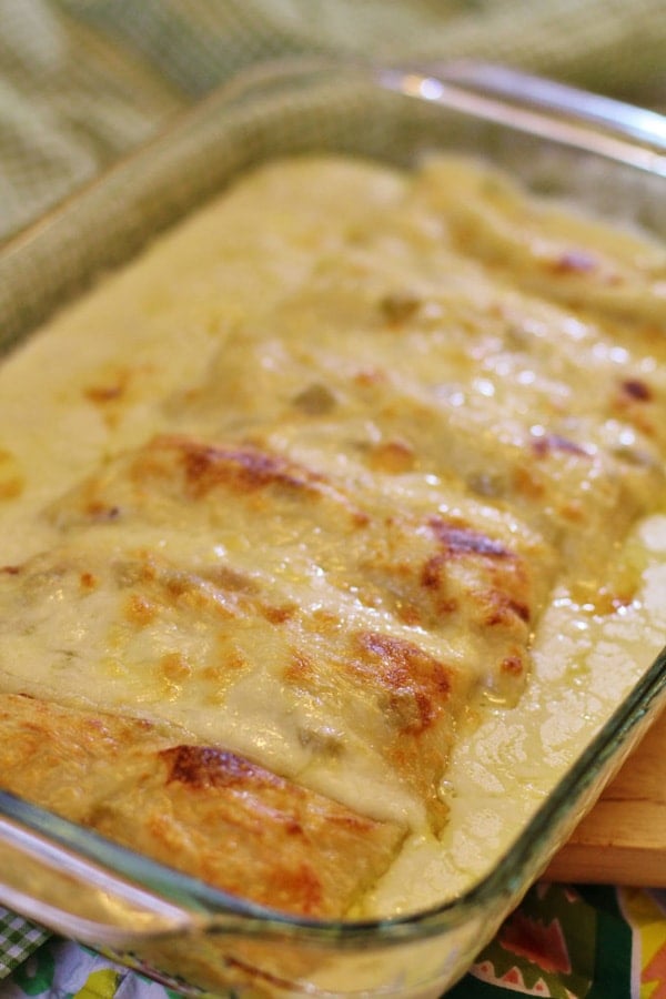 White Chicken enchiladas in pan from oven