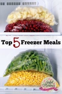 Top 5 Freezer Meals to fill your freezer. Be ready for those busy evenings and weekends