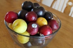 Glass bowl of plums sitting on a wood kitchen table