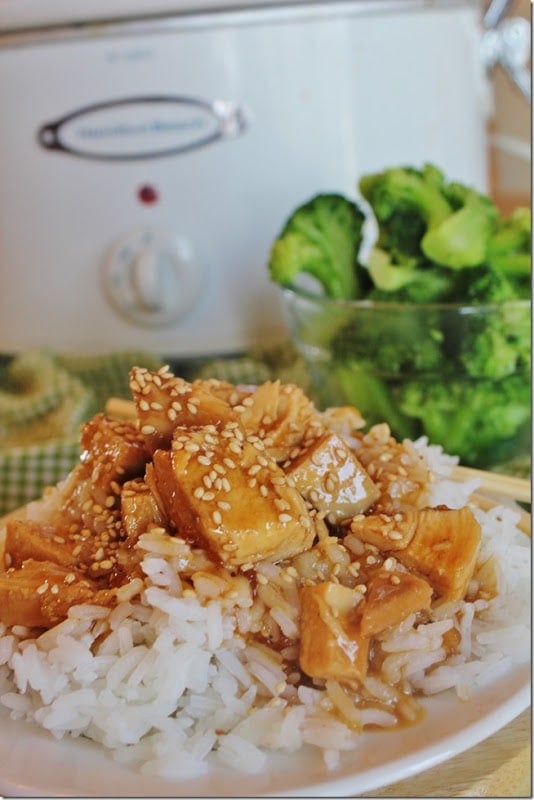 Slow Cooker Teriyaki Chicken