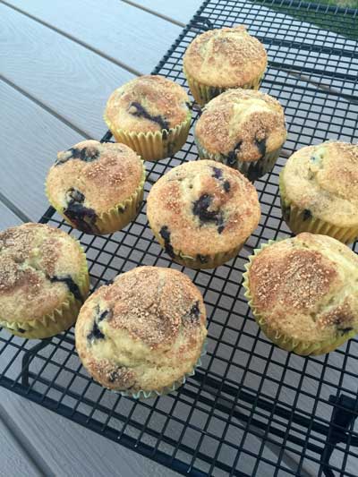 These dairy free, egg free Vegan Blueberry Muffins are also refined sugar free. Use a maple sugar and indulge in this perfect breakfast treat!