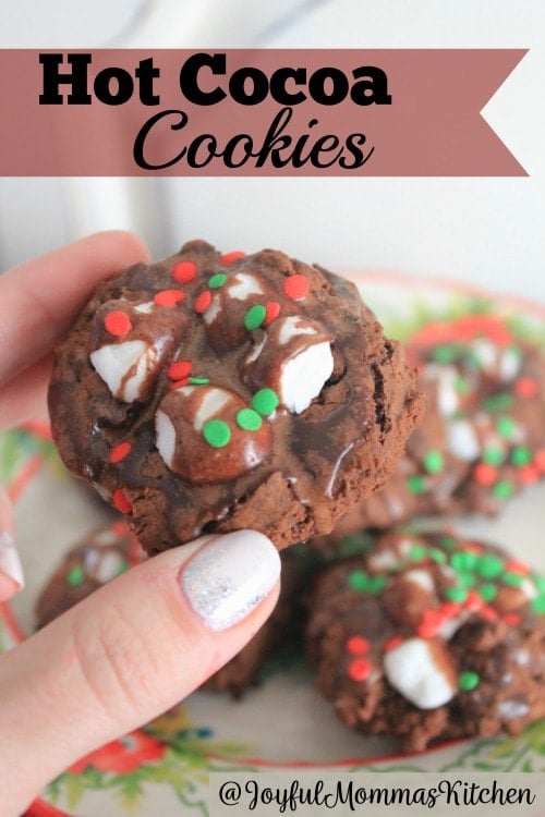 hand holding chocolate cookie with min marshmallows and chocolate drizzle with sprinkles