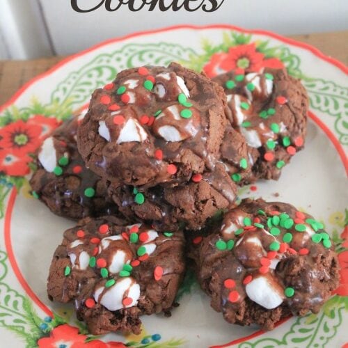 Hot Cocoa Cookies