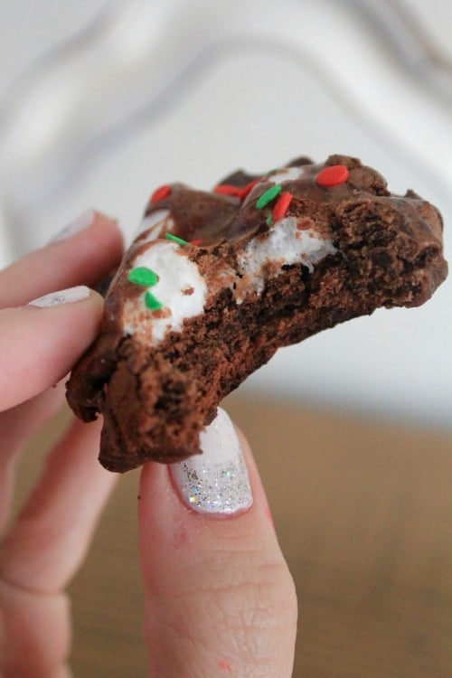 Hot Cocoa Cookies