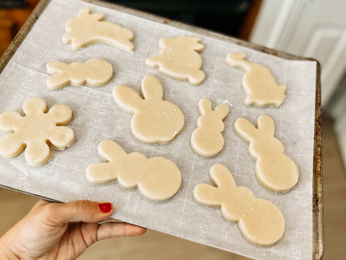Sugar cookies unbaked on a baking sheet lined with parchment paper